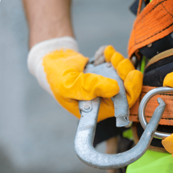 Loss Control - Services